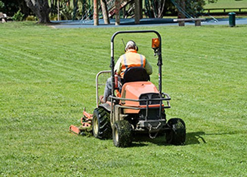 Commercial Grounds Maintenance - Tree Cutting Wales