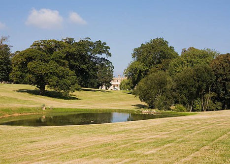 Commercial Grounds Maintenance - Tree Cutting Wales